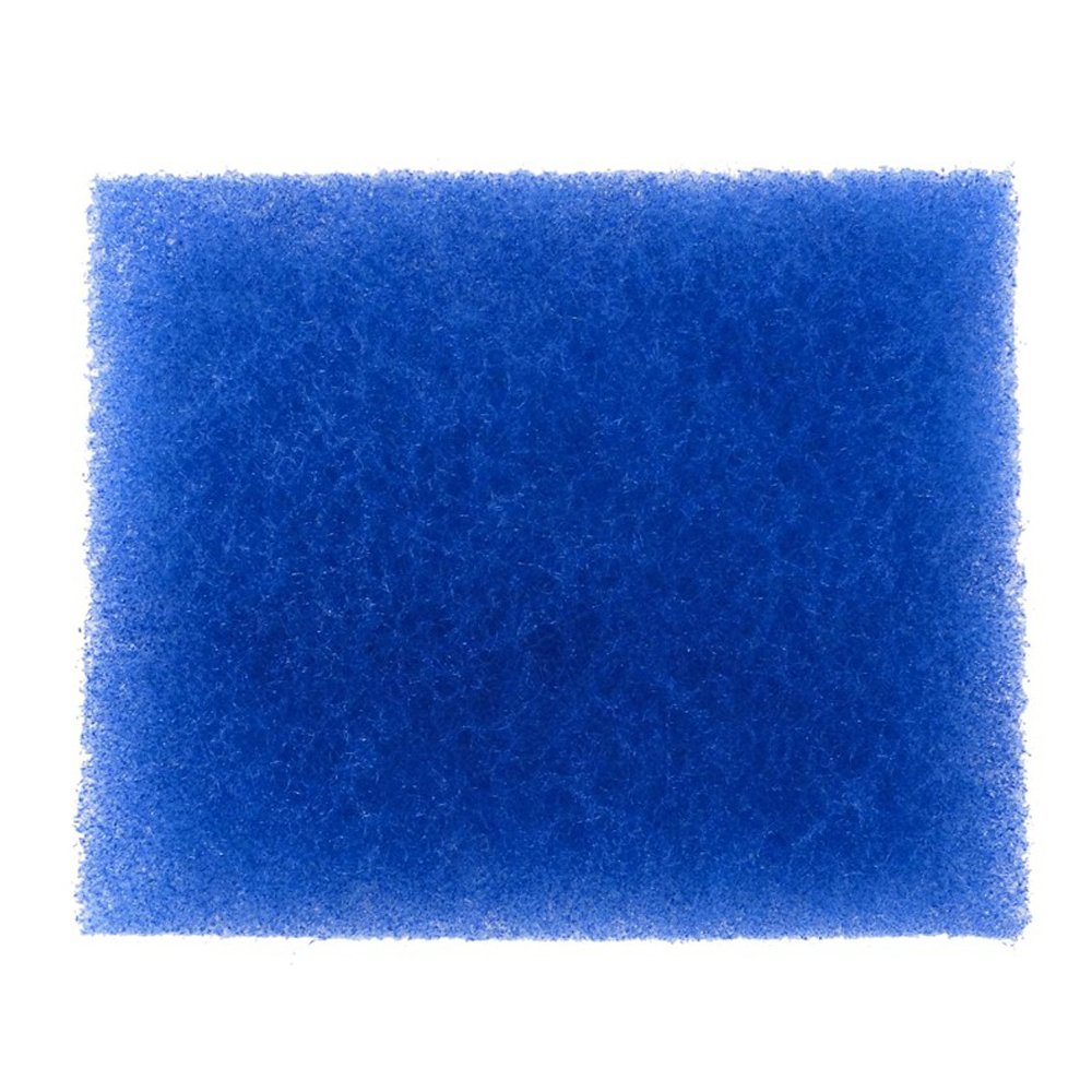 169331592.jpg
