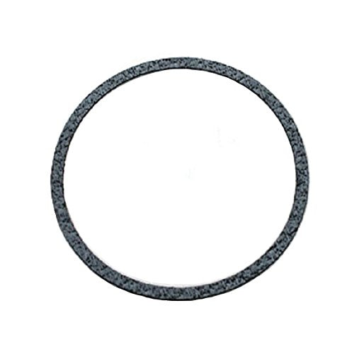 RAYPAK Raypak 800173F Flat Pump Gasket 5.25 inch OD