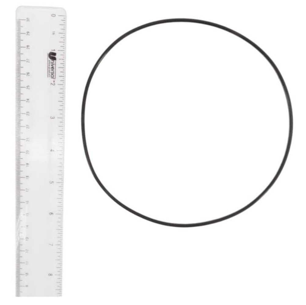 169335676.jpg