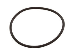 PENTAIR Pentair 51013500 Bulkhead O-Ring for 8 Inch Push Pull Valve Replacement Part