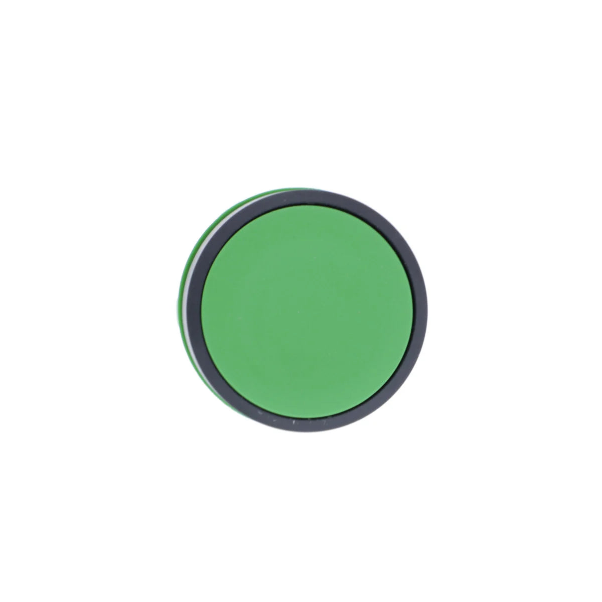 169351984.webp