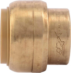 Cash Acme U518LF PROPLUS Spring Check Valve PVC 1-1/2 Inch FIP