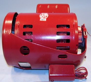ARMSTRONG FLUID TECHNOLOGY Armstrong Fluid Technology 817025-013 Single Phase 1/3 HP 115V Motor