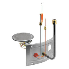 RHEEM AM41865 BURNER ASSEMBLIES