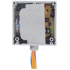 FUNCTIONAL DEVICES RIBT243P RELAYS