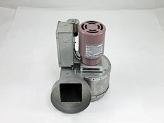 REZNOR 97955 BLOWER HOUSING & ASSEMBLIES