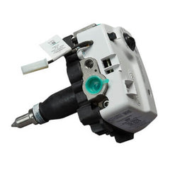RHEEM SP20738E GAS VALVE ASSEMBLIES