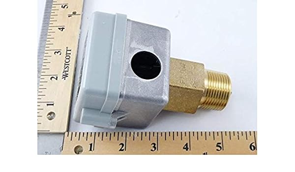 LOCHINVAR 100063648 CONTROL VALVES