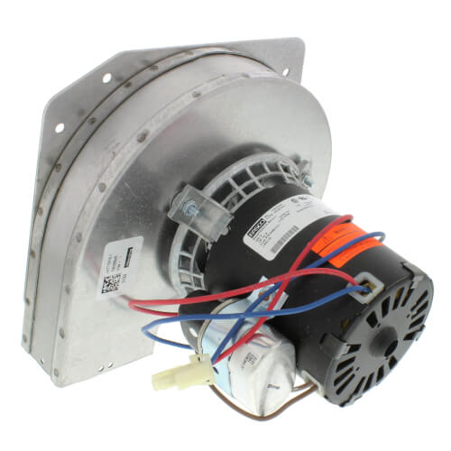 169759757.jpg