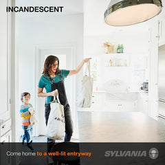 LEDVANCE LEDVANCE 15476 SYLVANIA Incandescent 200W A21 Utility Light Bulb Medium Base - Clear, Soft White