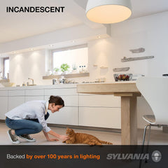 LEDVANCE LEDVANCE 15476 SYLVANIA Incandescent 200W A21 Utility Light Bulb Medium Base - Clear, Soft White