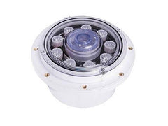 CUSTOM MOLDED PRODUCTS Custom Molded Products 25503-100-000 LED Bubbler Gunite Pools 100Ft Cord