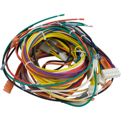 PENTAIR 42001-0104S CONTROL & CIRCUIT BOARDS