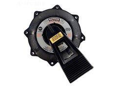 HAYWARD Hayward SPX0740BA Key Cover and Handle Assembly (2 inches) Replacement 10377036030