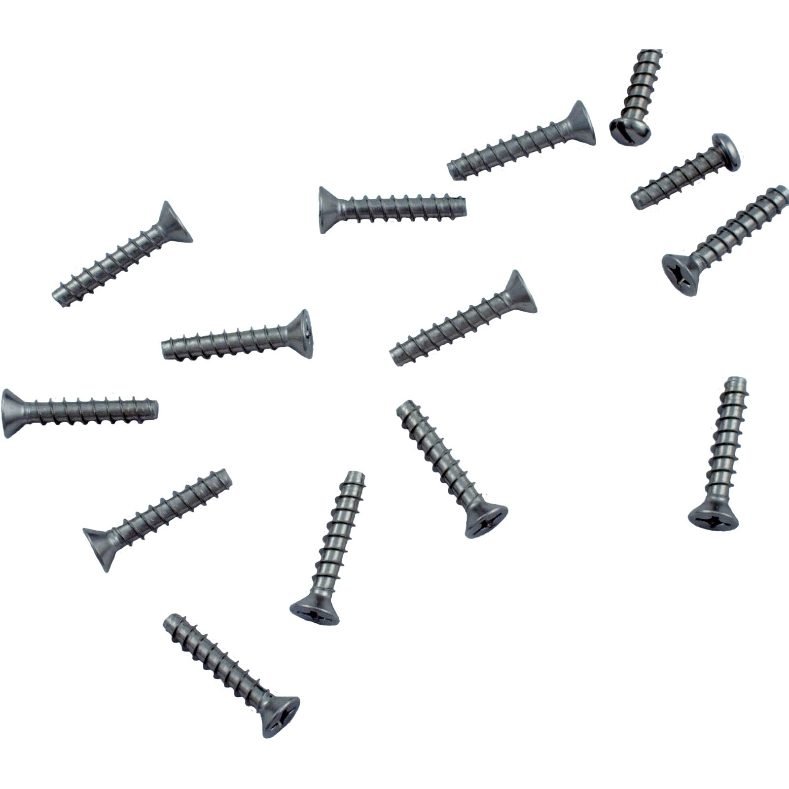 HAYWARD Hayward SPX1084Z4AM Skimmer Face Plate Screw Set Long Screw