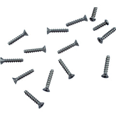 HAYWARD Hayward SPX1084Z4AM Skimmer Face Plate Screw Set Long Screw