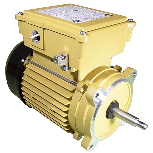 HAYWARD Hayward SPX2607Z1MTG Motor 1.0 HP TEFC
