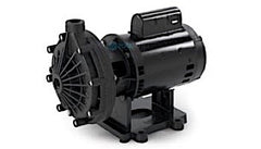 PENTAIR Pentair EC-LA01N Booster Pump 0.75HP 115V/230V