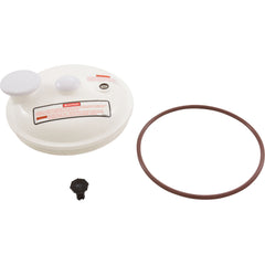PENTAIR Pentair R172385D Complete Lid Assembly Replacement Pool and Spa High Capacity Automatic Feeder