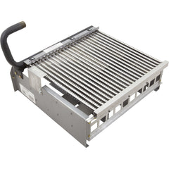 RAYPAK Raypak 010393F Burner Tray with Burners Sea Level