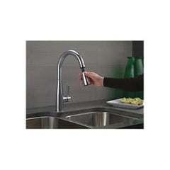 DELTA FAUCET Delta Faucet 9178-DST Leland Pull Down Kitchen Faucet 1.8 GPM Chrome