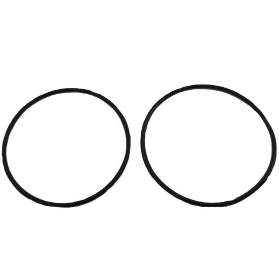 SPIRAX SARCO 68609F O-RINGS & GASKETS
