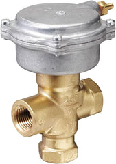 SIEMENS 258-02069 CONTROL VALVES