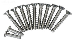 HAYWARD Hayward SPX0607Z1A Screw Set