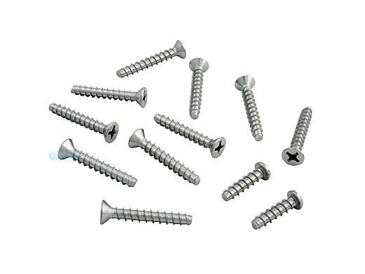 HAYWARD Hayward SPX0607Z1A Screw Set