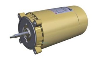 HAYWARD Hayward SPX1615Z1M 2 HP Max Rate Motor 115/230V