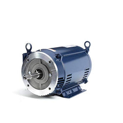 MARATHON MOTORS MZ409 POOL & SPA PUMPS