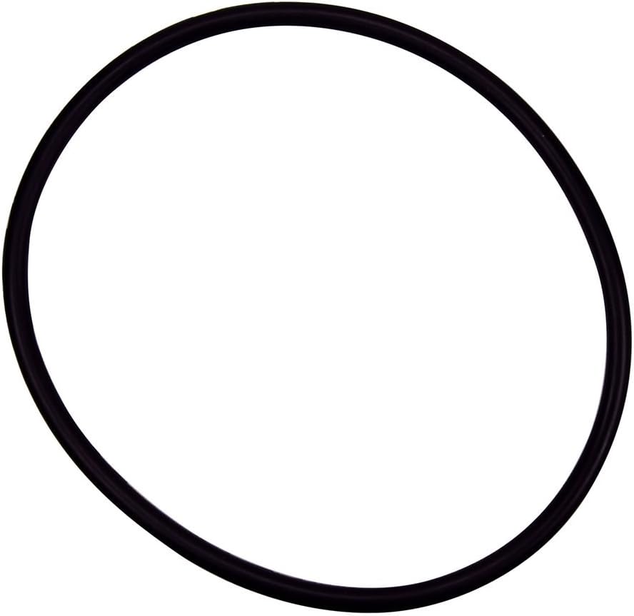 PENTAIR 350037 POOL O-RINGS & GASKETS