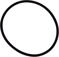 PENTAIR 350037 POOL O-RINGS & GASKETS