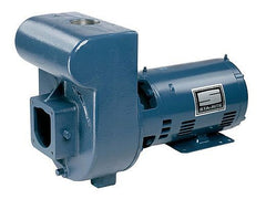 PENTAIR DMH3-171 POOL & SPA PUMPS