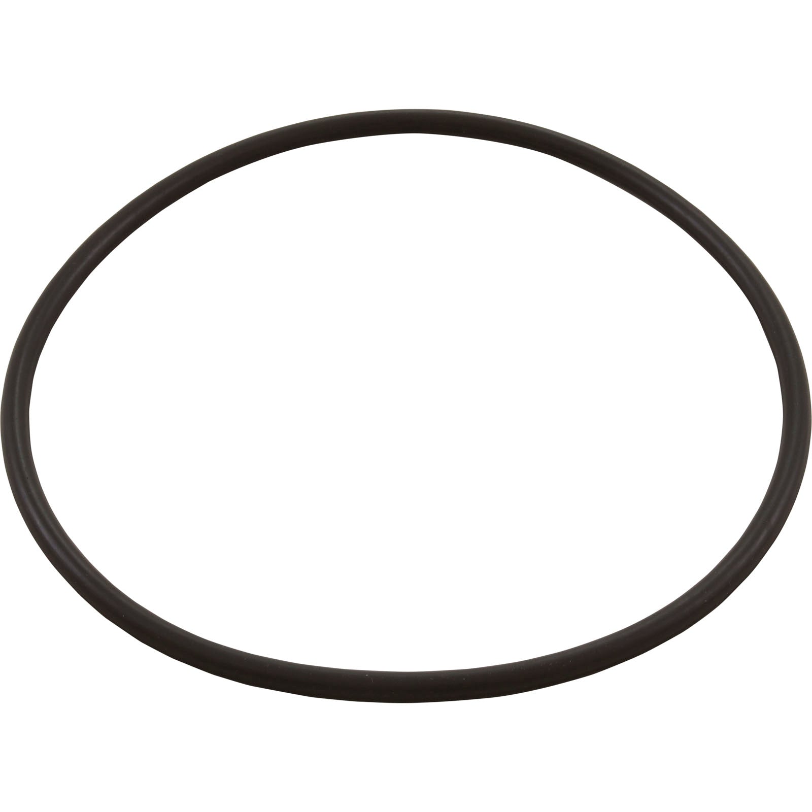 HAYWARD Hayward AXW542 Leaf Canister O-Ring