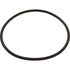 HAYWARD Hayward AXW542 Leaf Canister O-Ring