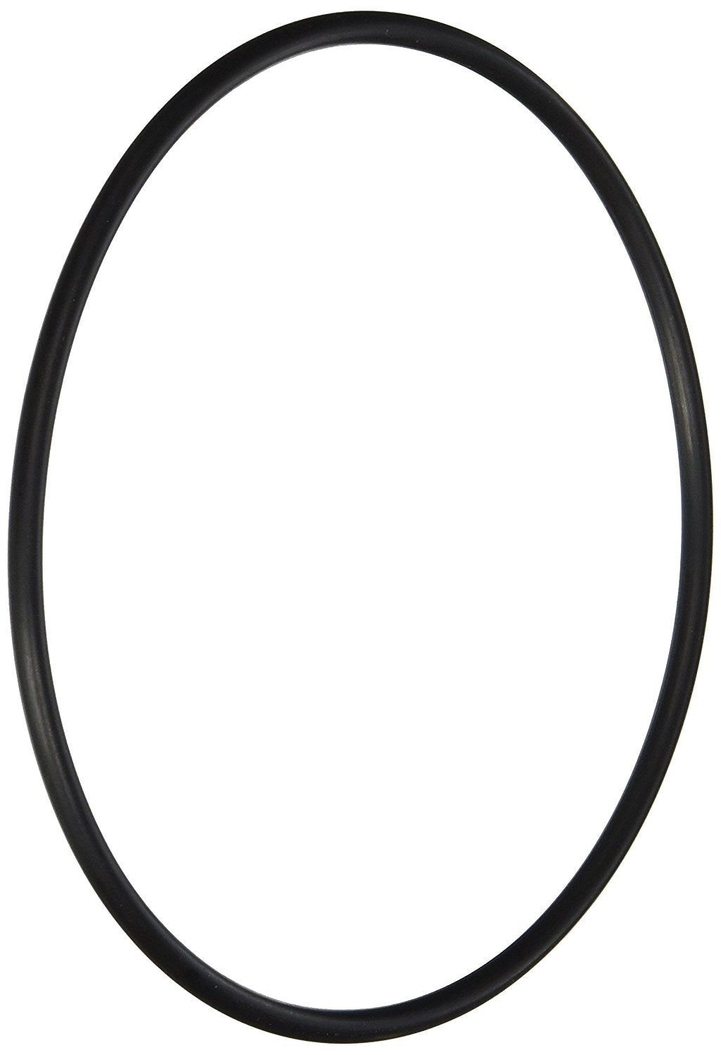 HAYWARD Hayward AXW542 Leaf Canister O-Ring