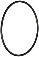 HAYWARD Hayward AXW542 Leaf Canister O-Ring