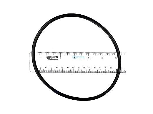 HAYWARD Hayward AXW542 Leaf Canister O-Ring