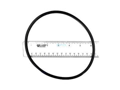 HAYWARD Hayward AXW542 Leaf Canister O-Ring