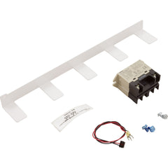 HAYWARD Hayward AQL-RELAY-AC-KT Relay-Double Pole, AC Coil, 3 HP 240 VAC