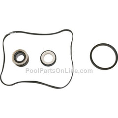 HAYWARD Hayward SPX1600TRA Super Pump Seal Assembly Kit