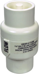 PENTAIR Pentair R172288 Corrosion Resistant Check Valve Replacement for Pool and Spa Automatic Feeder