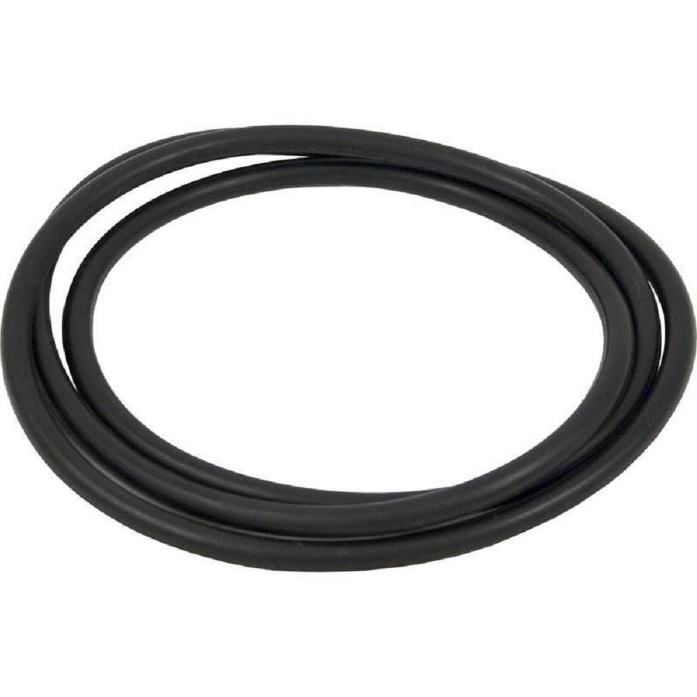 HAYWARD Hayward CCX1000G Body O-Ring XStream Series Cartridge Filters