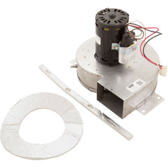 HAYWARD Hayward IDXLBWR1931 Combustion Blower 120V