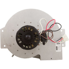 HAYWARD Hayward IDXLBWR1931 Combustion Blower 120V