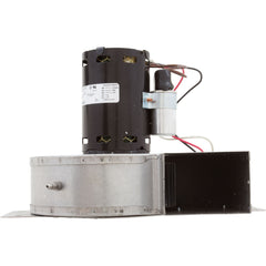 HAYWARD Hayward IDXLBWR1931 Combustion Blower 120V