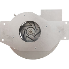 HAYWARD Hayward IDXLBWR1931 Combustion Blower 120V