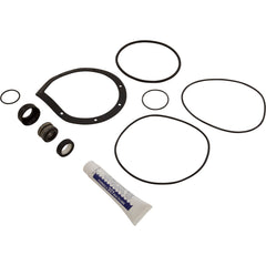 HAYWARD SPXHKIT12 POOL O-RINGS & GASKETS