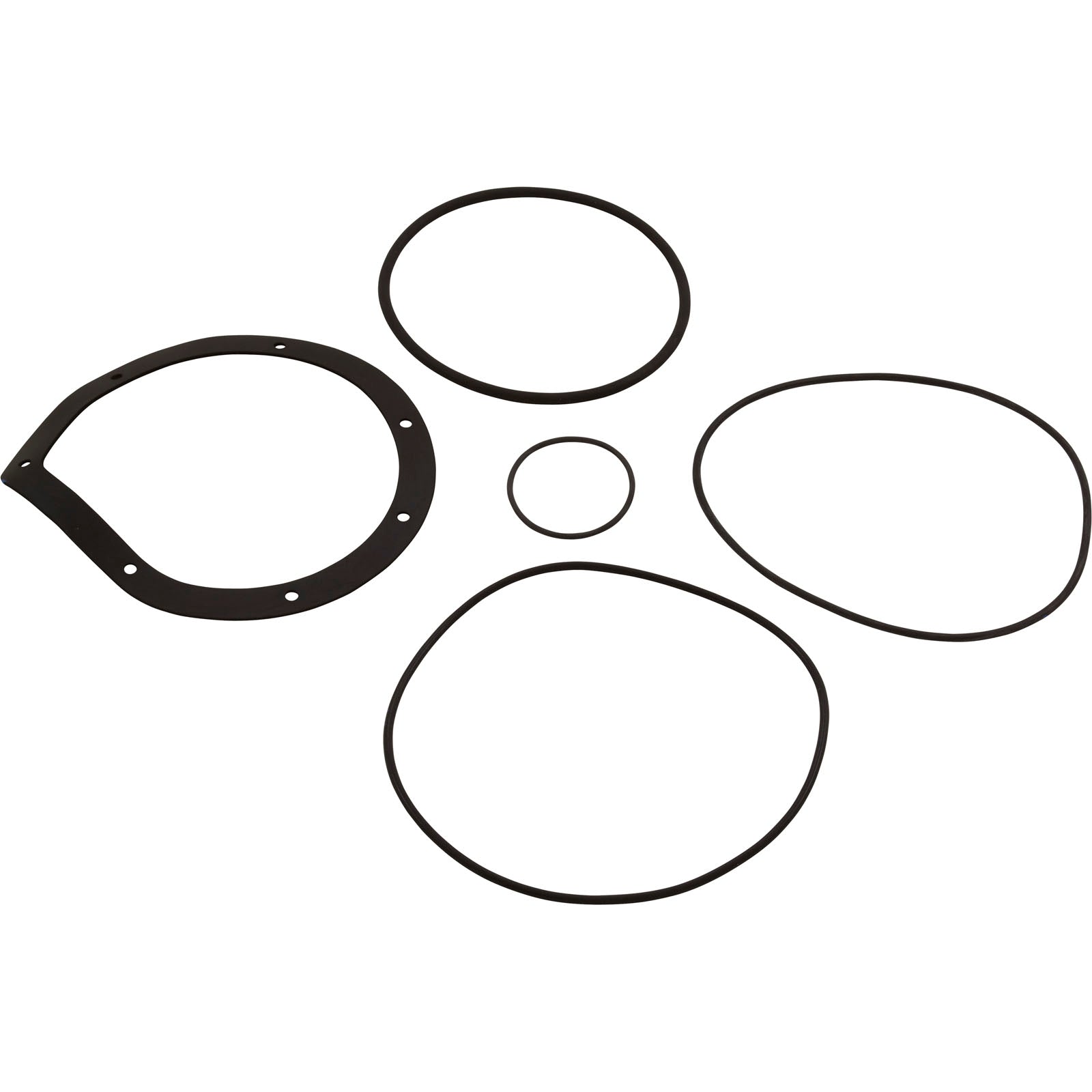 HAYWARD Hayward SPXHKIT12 Quick Fix Kit Power Flo Pump
